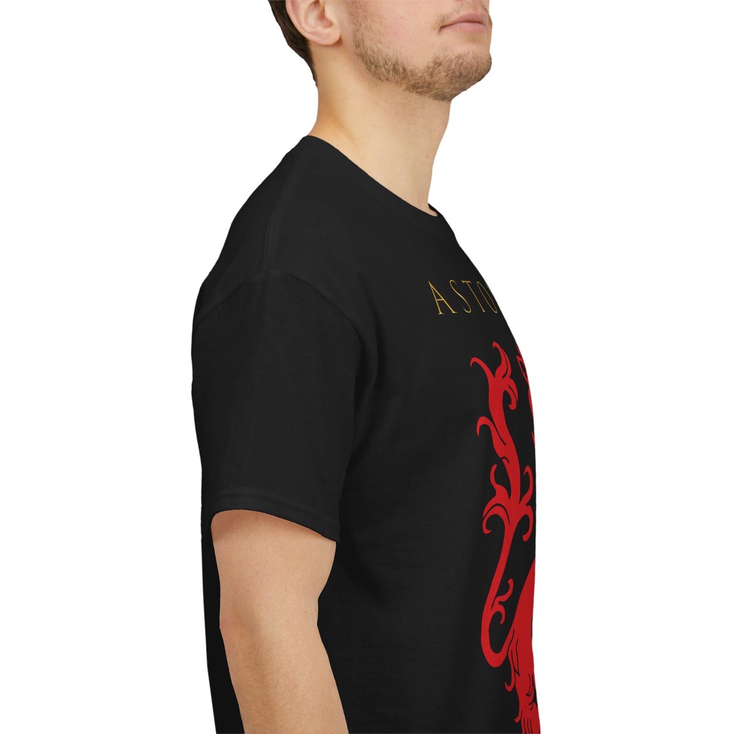 Aston Villa 150th Anniversary Unisex Heavy Cotton T-Shirt - Black