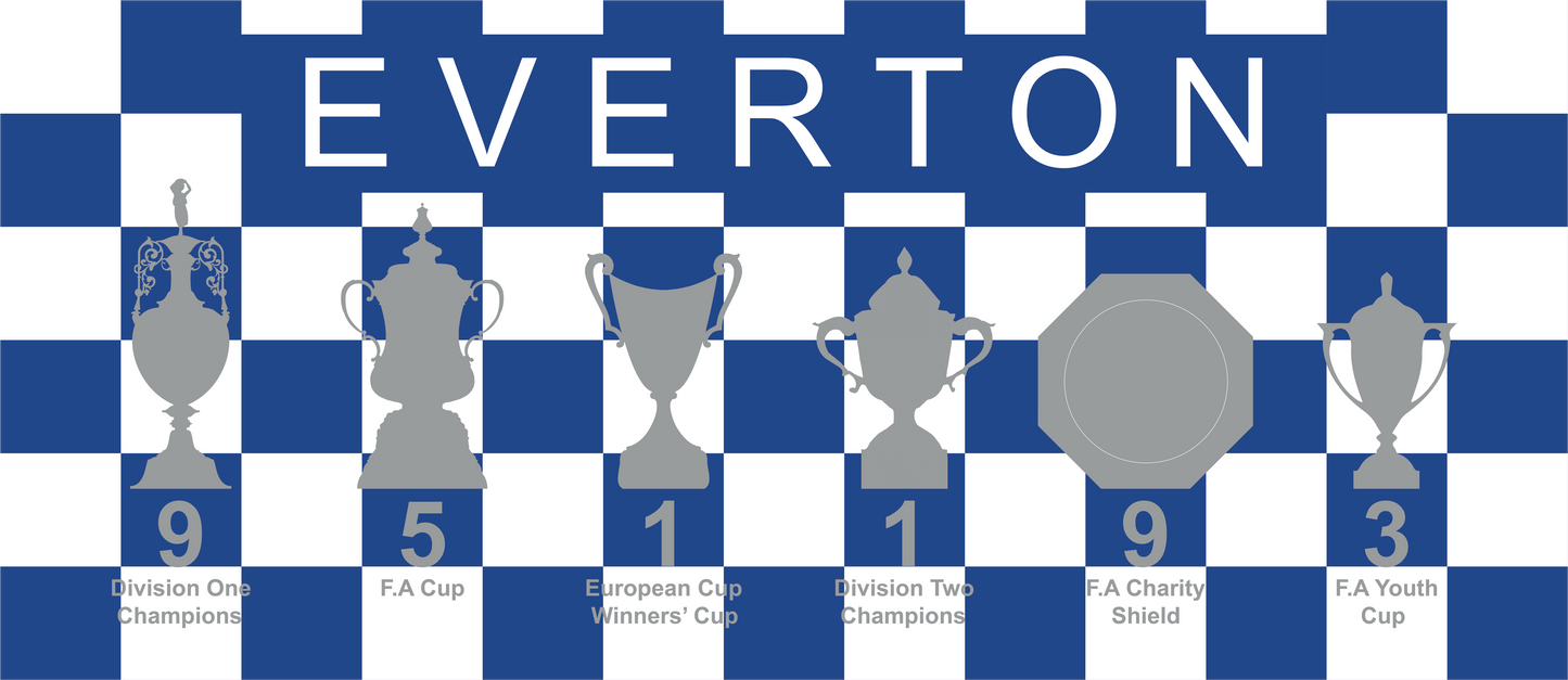 Everton Blue & White Chequered Trophies Mug - White Header Text