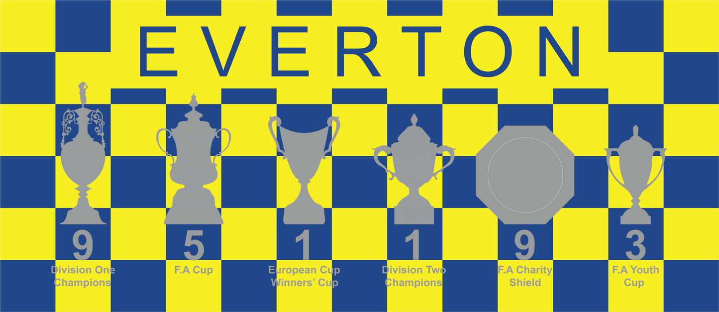 Everton Yellow & Blue Chequered Trophies Mug - Blue Header Text