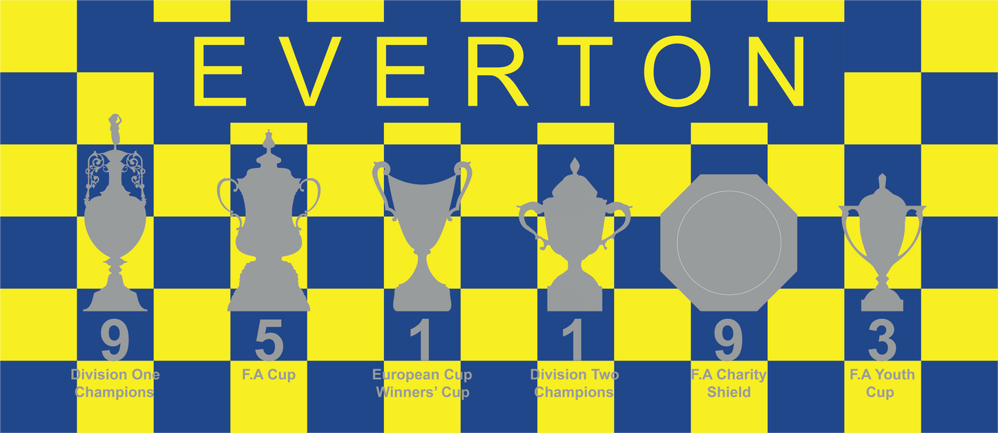 Everton Yellow & Blue Chequered Trophies Mug