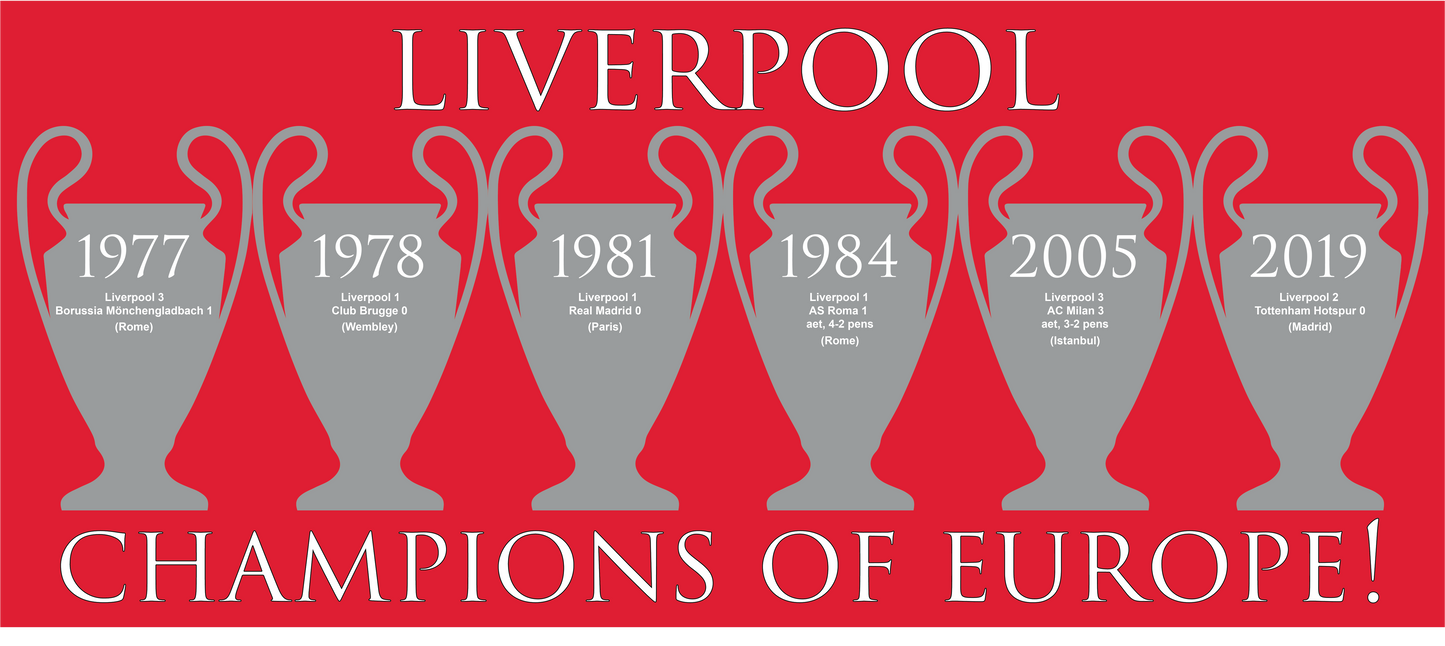 Liverpool Champions of Europe Mug - Red