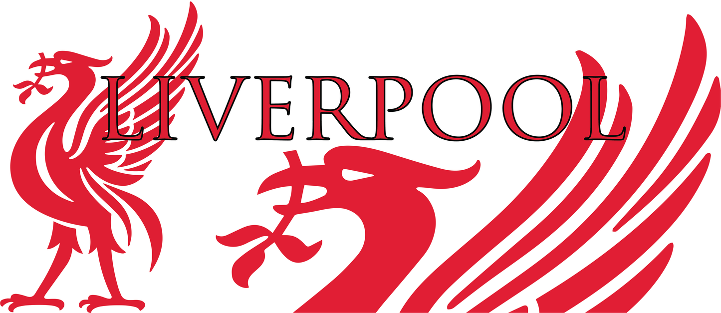 Liverpool Liver Bird Mug - White