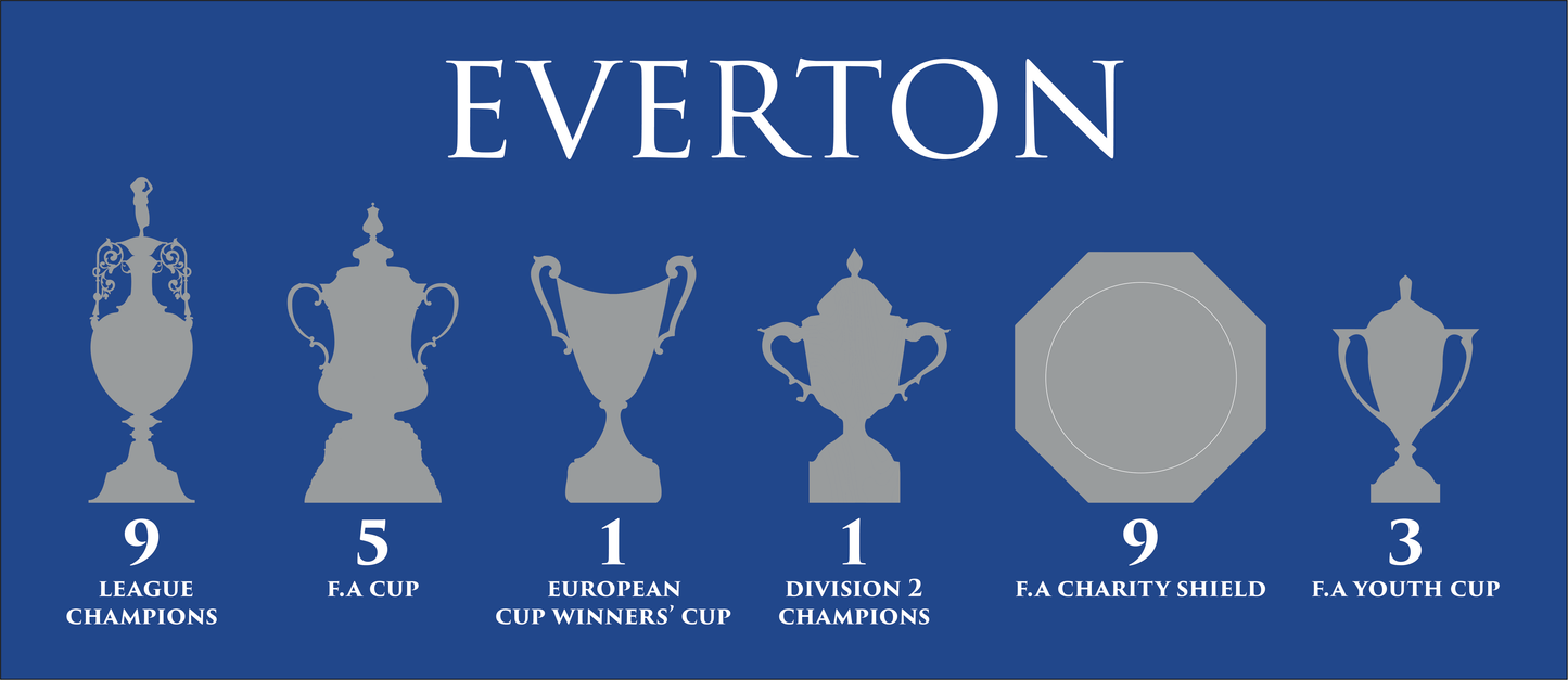 Everton Trophies Mug - Blue