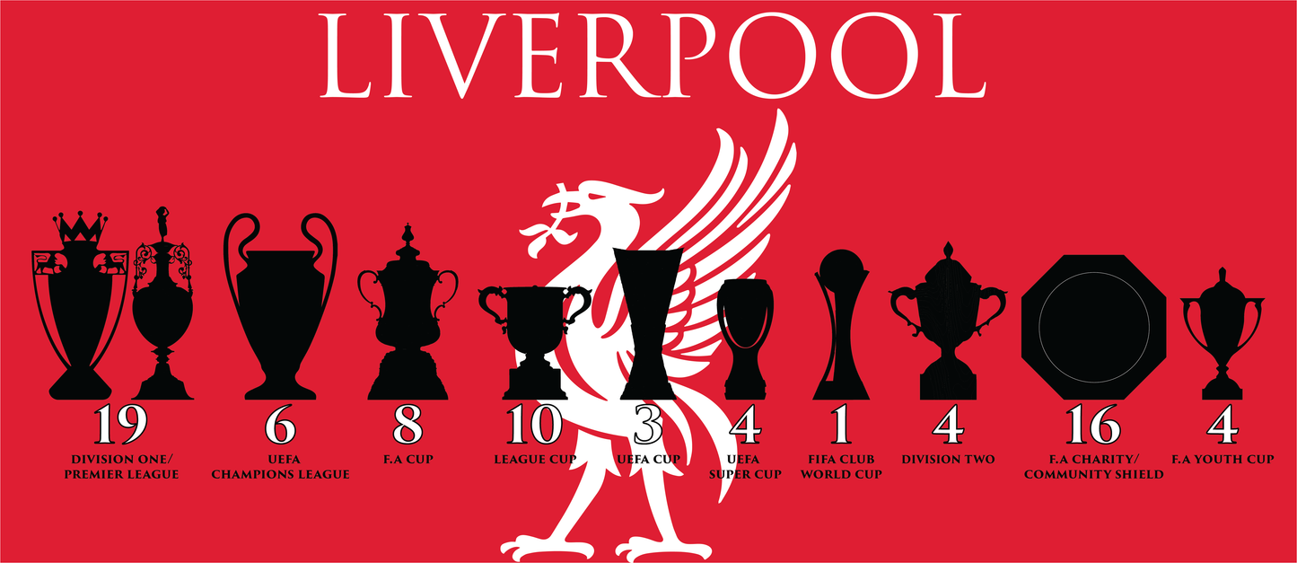 Liverpool Trophies & Liver Bird Mug - Red