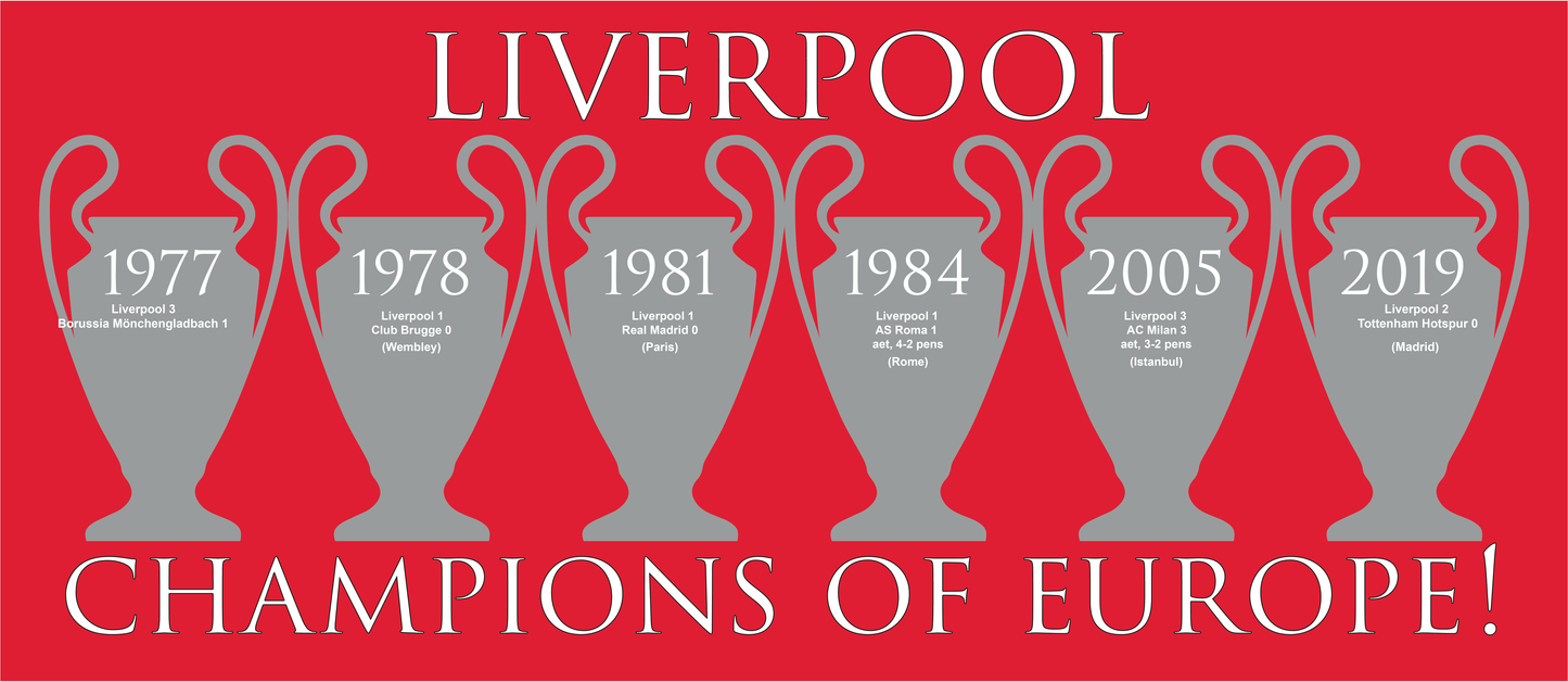 Liverpool Champions of Europe Mug - Red