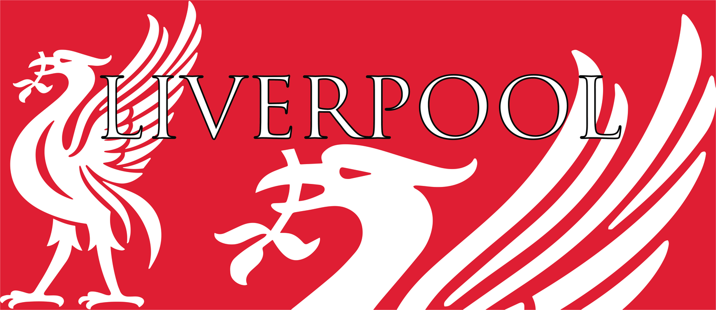 Liverpool Liver Bird Mug - Red