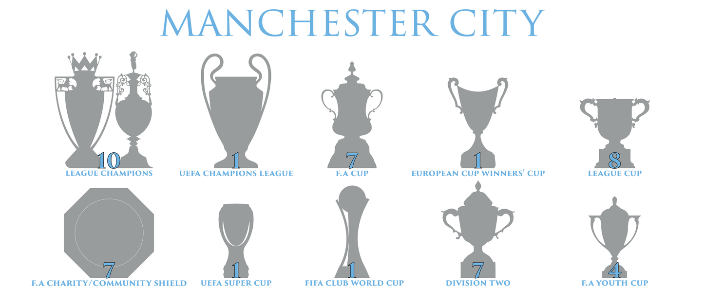 Manchester City Trophies Mug - White