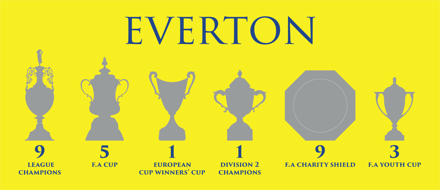 Everton Trophies Mug - Yellow