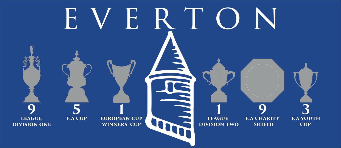 Everton Trophies & Tower Mug - Blue